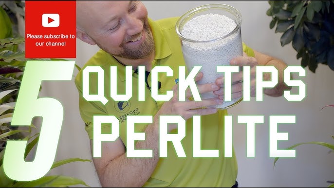 Qu'est-ce que la perlite ? - Gamm vert