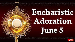 Powerful Eucharistic Adoration I Wednesday June 5 2024 I 3.00 Pm