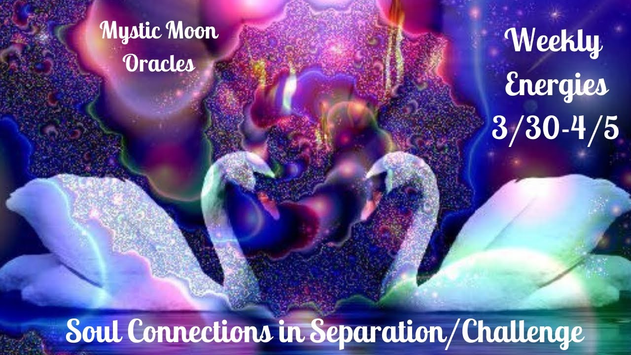 Soul Connections - Twin Flame/Soulmate "It's Only Ever Been You" Timeless Energies