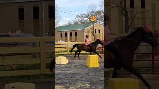 Canter to trot transition bareback. (it did not go well)😭 #horse #bareback #fyp