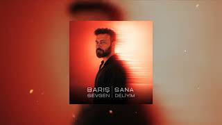 Barış Sevgen - Sana Deliyim 