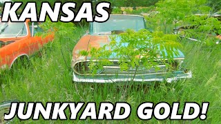 Kansas Junkyard FULL of Forgotten Old Cars! Junkyard Gold! (Pt. 1)