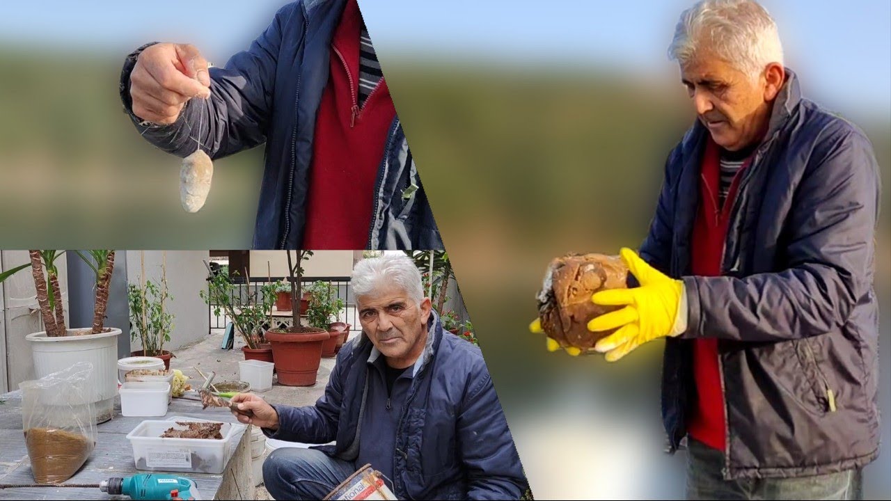 ΤΟ ΖΥΜΑΡΙ.. ΤΩΝ ΘΑΥΜΑΤΩΝ!!