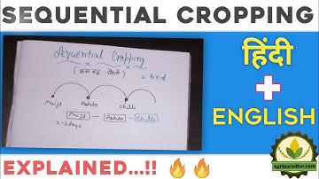 Sequential Cropping | Sequential Cropping in agriculture in Hindi | System Of Cropping |Agriparadise