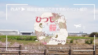 【空港と地域】成田空港周辺の春のおすすめイベント紹介(三里塚さくらの丘)