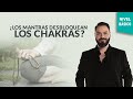 ¿Los mantras desbloquean los chakras? | 📿 Shivagam