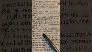 8 Friday Bible Study 