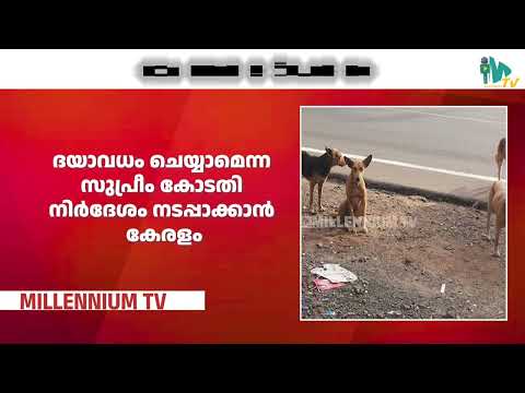 തെരുവുനായ നിയന്ത്രണം സുപ്രീം കോടതി നിർദേശം നടപ്പാക്കാൻ കേരളം| STRAY DOGS|SUPREME COURT