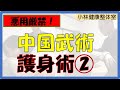 【悪用厳禁】中国武術、護身術②推手→崩し、投げ