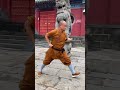 Traditional ancient boxing#The Bai young Intangible Cultural Heritage Program#I fell in lo