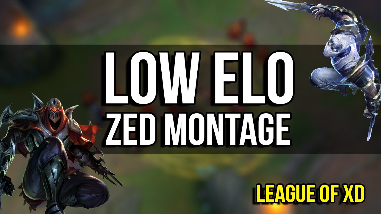 Zed Montage - Energy Drink