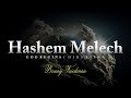 Hashem melech