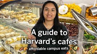 Harvard's Campus Cafes are a HIDDEN GEM | A Guide to Affordable Eats and Cafes at Harvard