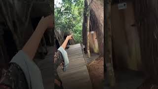 Oca De Luxo Vira Febre Entre Influencers Do Brasil Que Amam Festas Eletrônicas