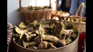 Feira do Míscaro 2021