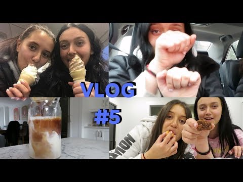 vlog-#5-|-ikea-froyo---mall-adventures---cookie-taste-testing