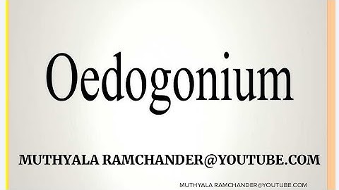 Oedogonium thallus and cell structure for telugu medium