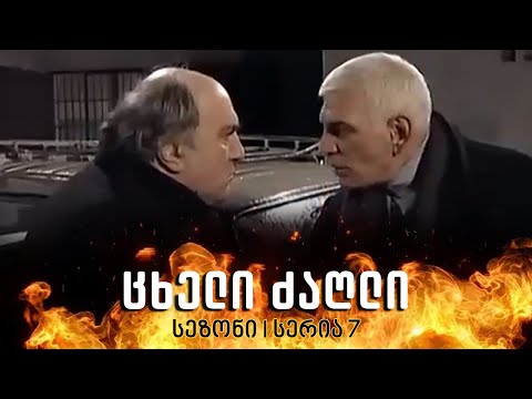 ცხელი ძაღლი | სეზონი 1 სერია 7