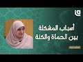 الحماة والكنة هل تعرفون الأسباب الاجتماعية للصراع بين الحماة والكنة 