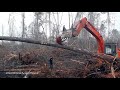 Sadness As An Orangutan Tries To Fight The Bulldozer Destroying Its Habitat