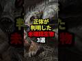 ㊗️245万回再生‼︎正体が判明した未確認生物3選 #都市伝説 #ホラー #雑学