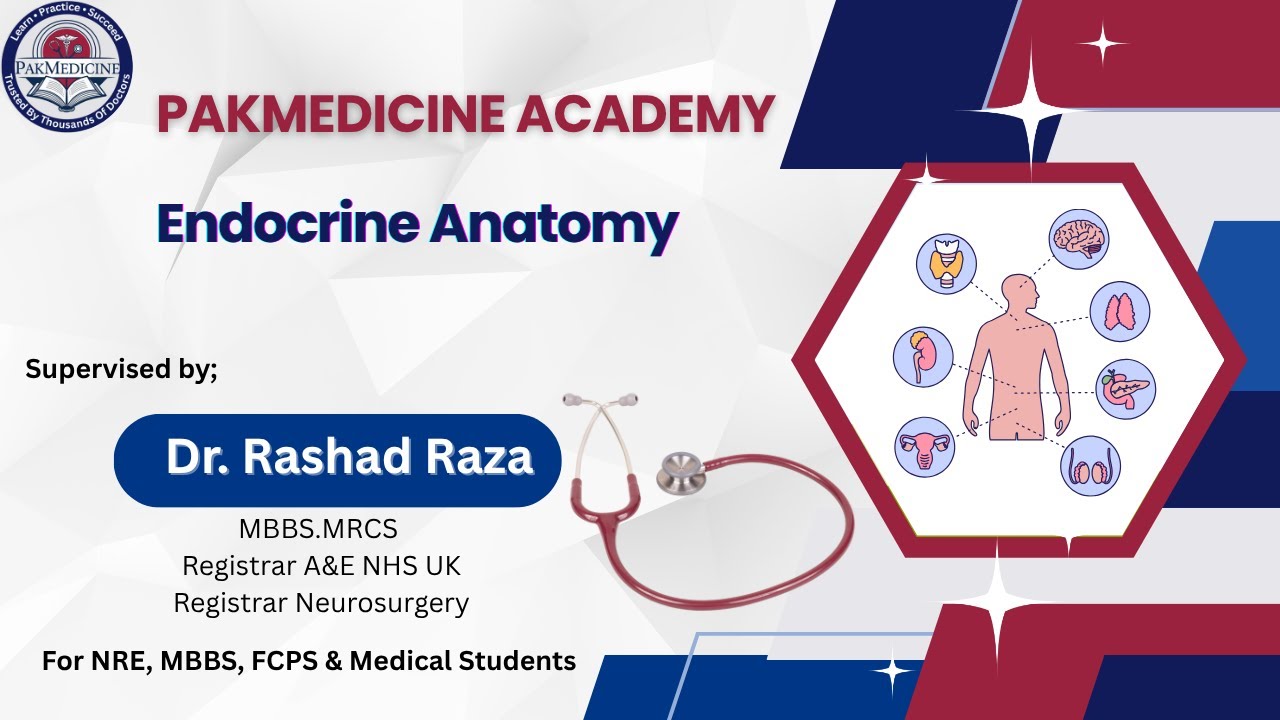 Endocrine Anatomy | High-Yield First Aid | NRE, MBBS, FCPS, USMLE Step ...