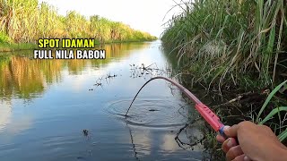 Spot mancing nila babon yang jadi impian pemancing..!! Joran tegek melengkung tajam