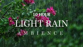 Heavy Rain Sounds for Insomnia &amp; Deep Sleep  - Wash Away Tension, Tinnitus Relief, White Noise