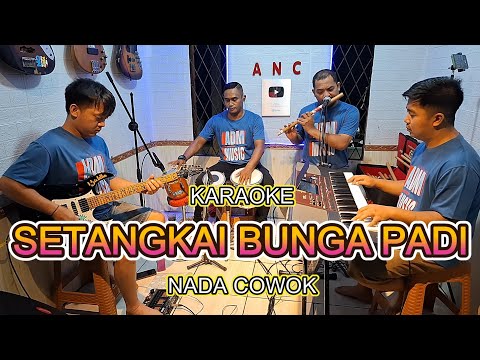 SETANGAKI BUNGA PADI - KARAOKE NADA WANITA
