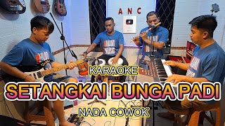 Download Lagu SETANGKAI BUNGA PADI KARAOKE NADA COWOK SANTA HOKY MP3