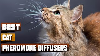 Cat Pheromone Diffuser : Can I Try Once from here?
