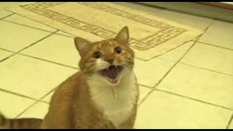 The Shortest Video On YouTube Slowing Down to Absolute Infinity Times But it