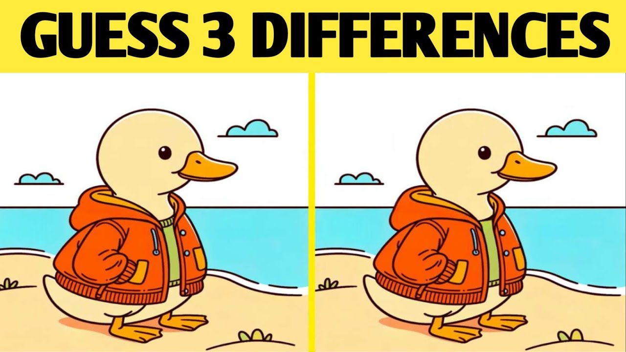 Spot 3 Differences | Spot 3 Difference Between two Images | Riddle Hunt ...