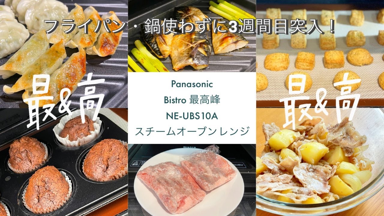 Panasonic Bistro スチーム オーブンレンジ 2022 最新 NE-UBS10A 