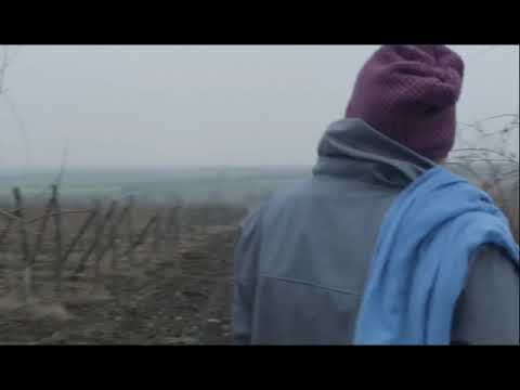 Wine story - ღვინოს ქმნის ისტორია