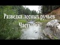 Поход за золотом. День второй.