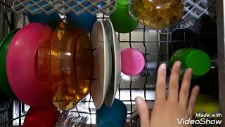 نصائح في رص غسالة الأطباق مع تطبيق عملي وهنشوف النتيجة| How to load a dishwasher the right way