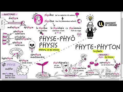 Vidéo: La physe et la métaphyse sont-elles identiques ?