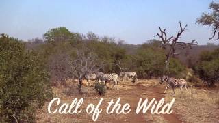 The Kingdom of Swaziland PROMO