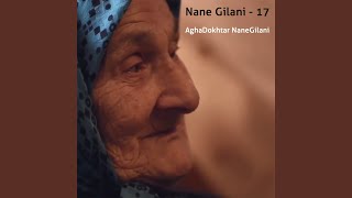 Nane Gilani, Vol. 17