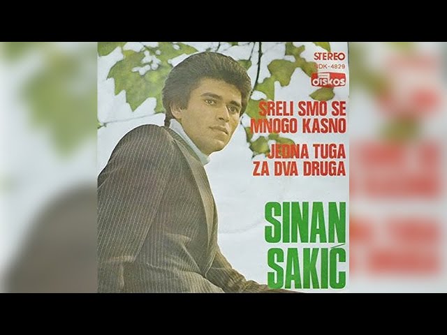 Sinan Sakic - Sreli smo se mnogo kasno