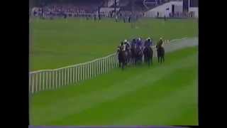 Sadler's Wells - 1984 Phoenix Champion Stakes (Group 1)