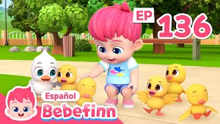 Cinco Patitos Ep 136 Canciones Infantiles Bebefinn En Español