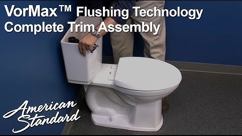 VorMax Toilet: Complete Toilet Tank Trim Assembly