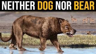 What The F**K is a Beardog?