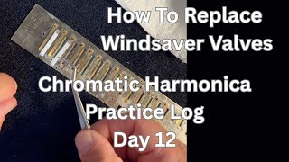 How to Replace Harmonica Windsaver Valves : Chromatic Harmonica Practice Log Day 12