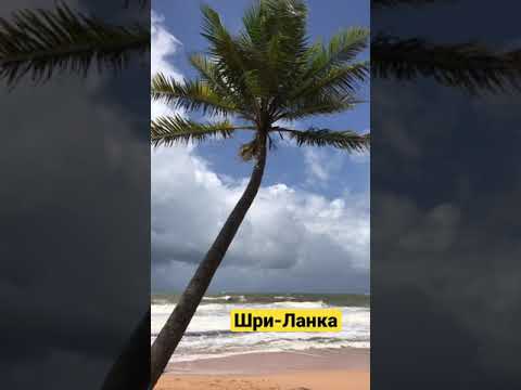 Video: Lanka BP 1: Vahvistuslangan Dekoodaus Ja Paino, Neulelanka 4-5 Mm Ja Muut Koot, Ominaisuudet