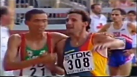 1993 مرسلي بطل العالم أمام كاشو