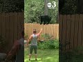 Man and his yorkie encounter black bear at their pace florida home