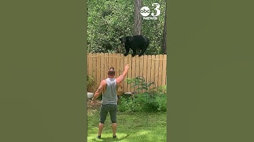 Man and his Yorkie encounter black bear at their Pace, Florida home